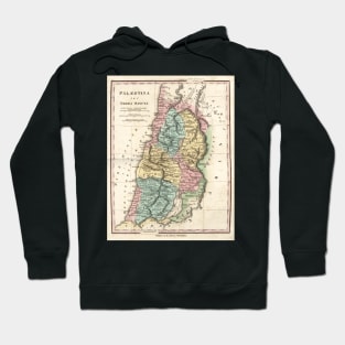 Map of Ancient Palestine, 19th century (C029/1319) Hoodie